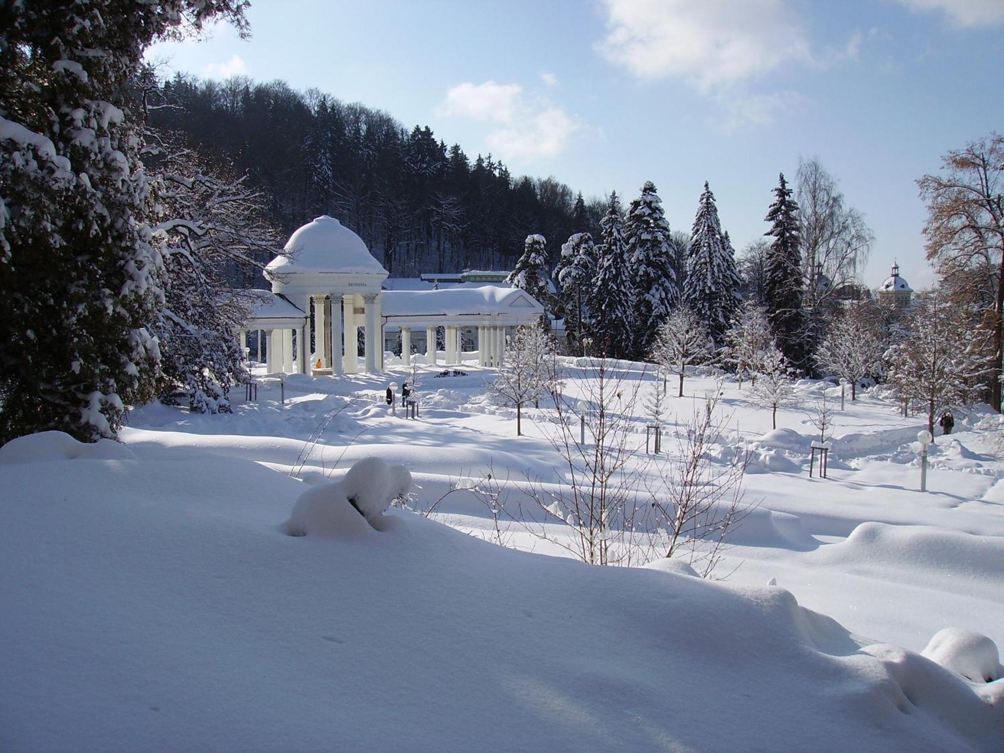 Villa Sonnenstrahl Marianske Lazne Exterior photo